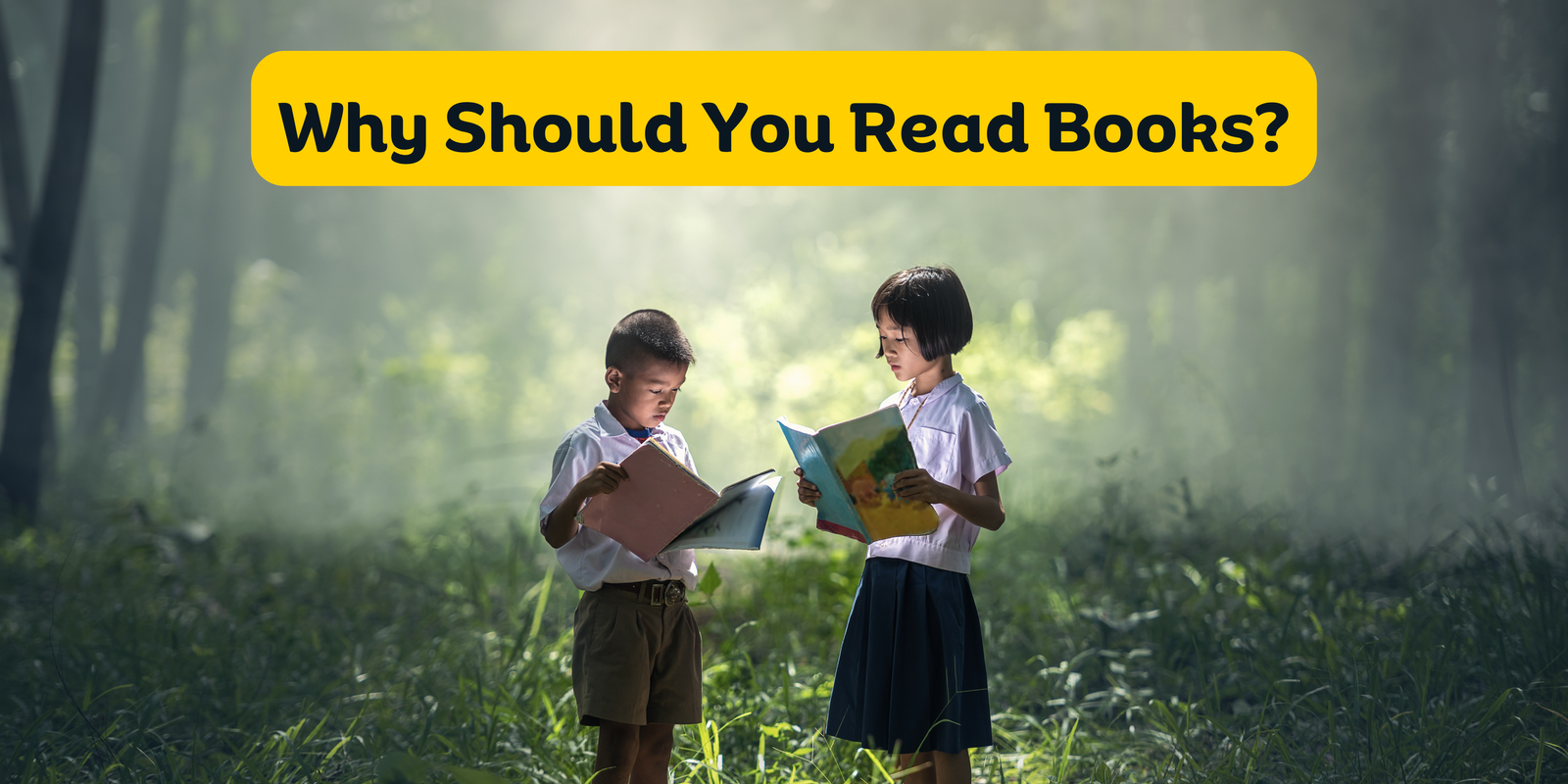 Why Should You Read Books?