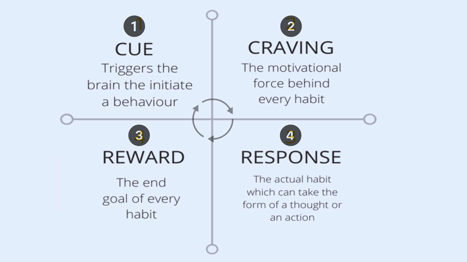 The Habits Loop